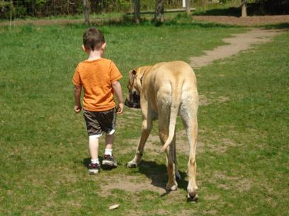 Dog-On Advanced/Target Training/Behaviour Modification Dog-On Advanced/Target Training/Behaviour Modification